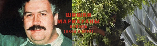 ГАЛЛЮЦИНОГЕННЫЕ ГРИБЫ Алексеевка